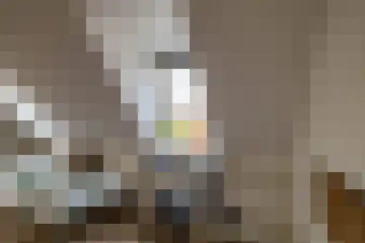 Schepperij 2 Meerstad thumbnail 36