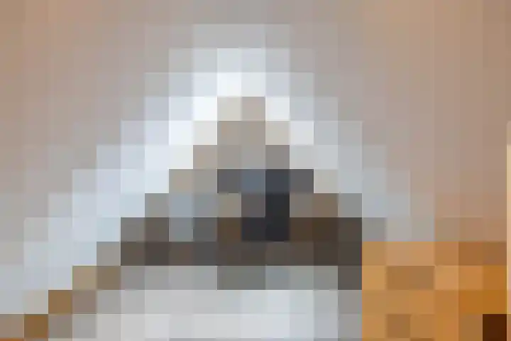 Schepperij 2 Meerstad thumbnail 39