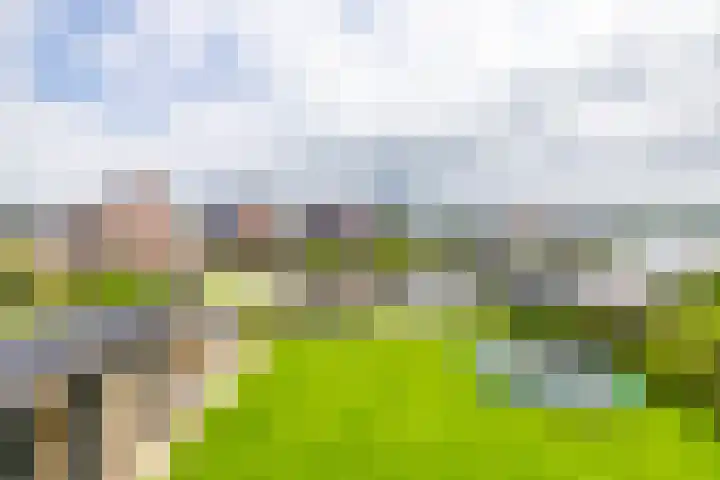 Schepperij 2 Meerstad thumbnail 4