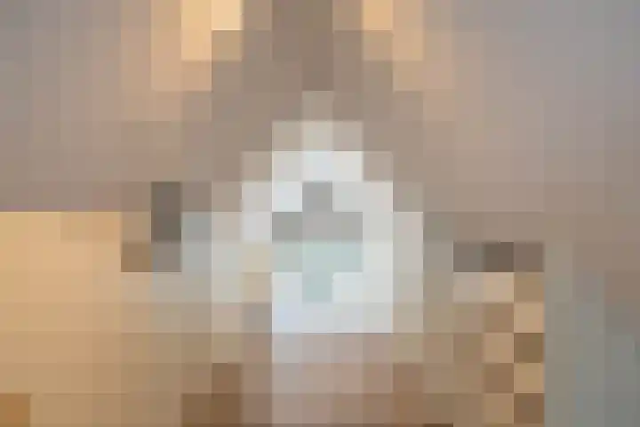Schepperij 2 Meerstad thumbnail 41