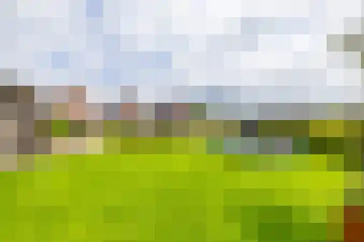 Schepperij 2 Meerstad thumbnail 45