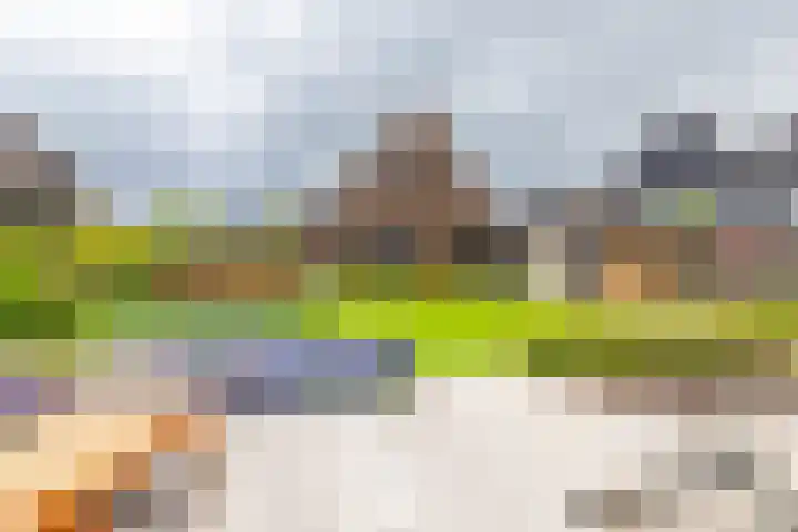 Schepperij 2 Meerstad thumbnail 47