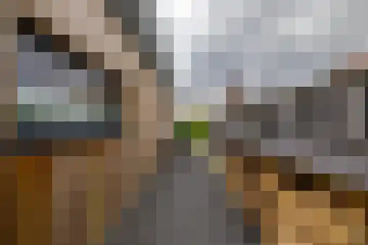 Schepperij 2 Meerstad thumbnail 49