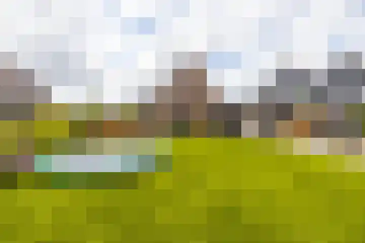 Schepperij 2 Meerstad thumbnail 58