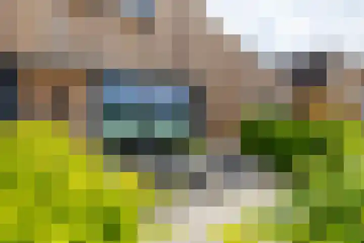 Schepperij 2 Meerstad thumbnail 8
