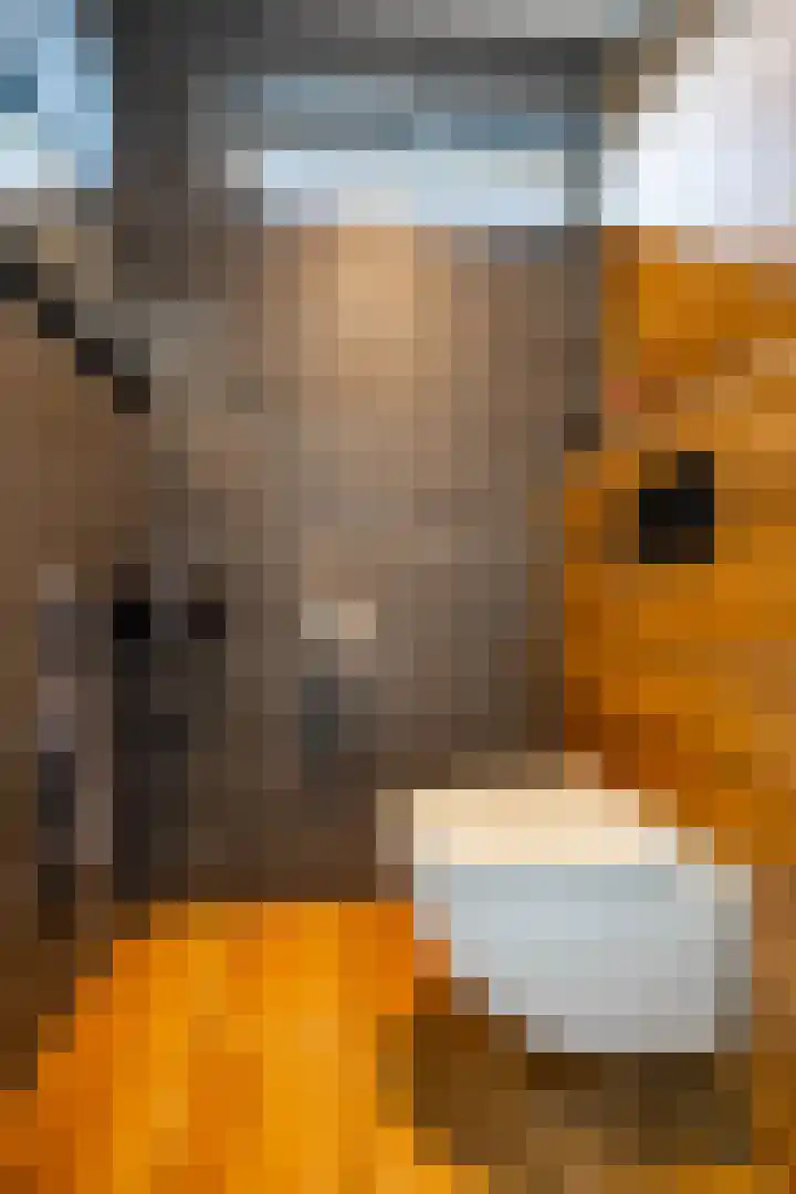 Schepperij 2 Meerstad thumbnail 9