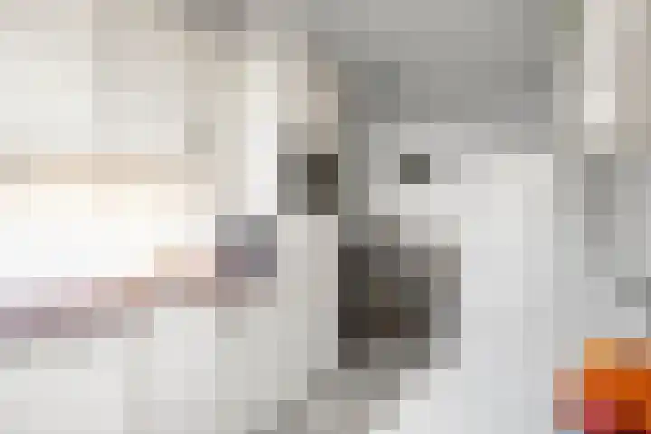 Schepperijlaan 52 Winsum thumbnail 13