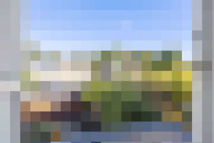 Schepperijlaan 52 Winsum thumbnail 18