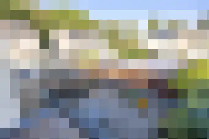 Schepperijlaan 52 Winsum thumbnail 19