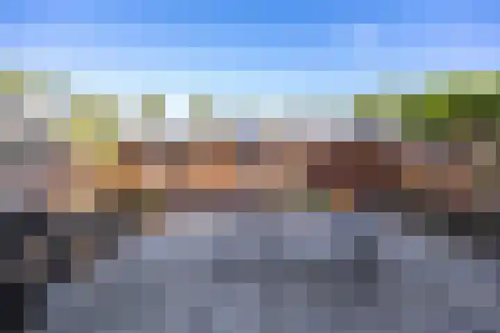 Schepperijlaan 52 Winsum thumbnail 24