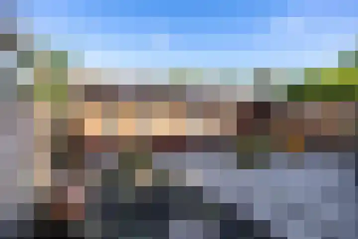 Schepperijlaan 52 Winsum thumbnail 25