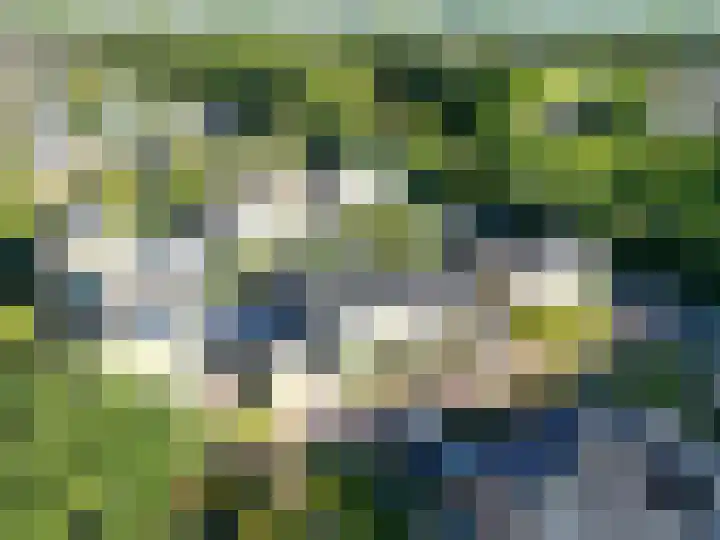Schepperijlaan 52 Winsum thumbnail 27