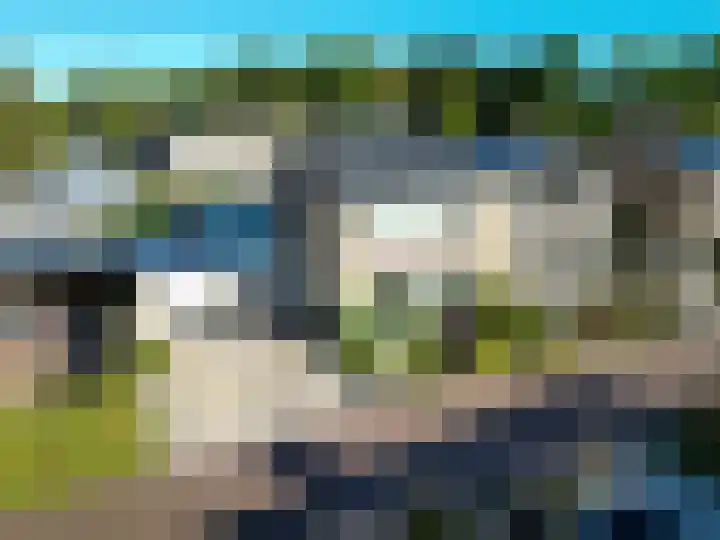 Schepperijlaan 52 Winsum thumbnail 28