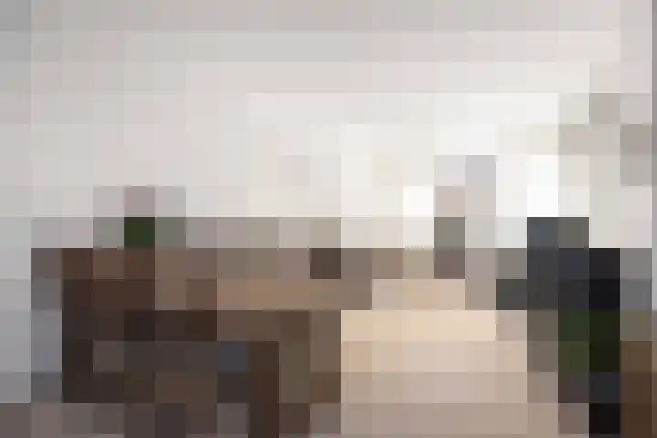 Schepperijlaan 52 Winsum thumbnail 5