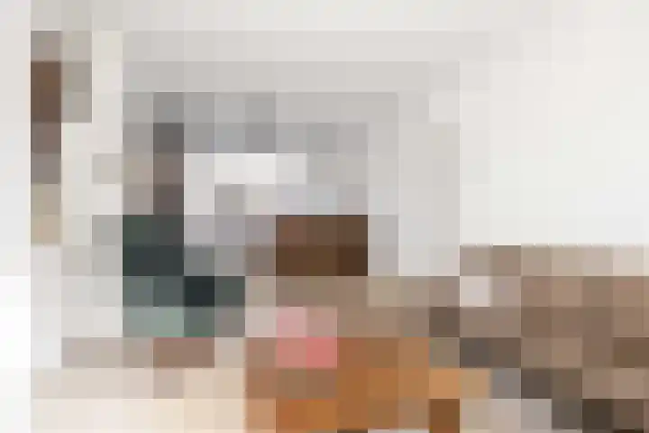 Schepperijlaan 52 Winsum thumbnail 7