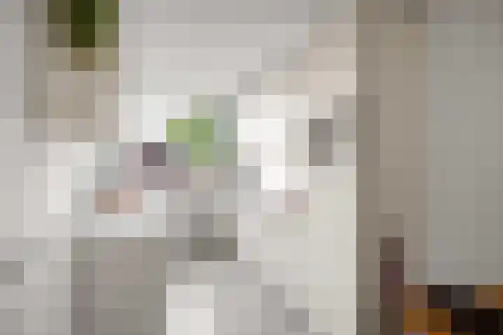 Schepperijlaan 52 Winsum thumbnail 9