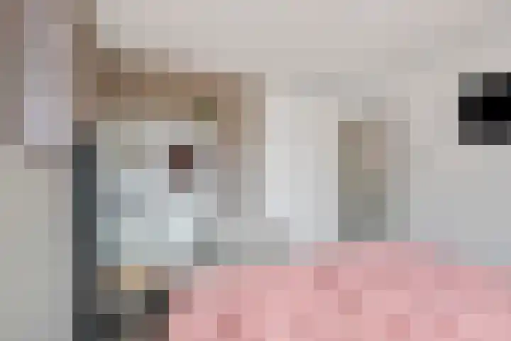 Scheprad 1 Huissen thumbnail 18