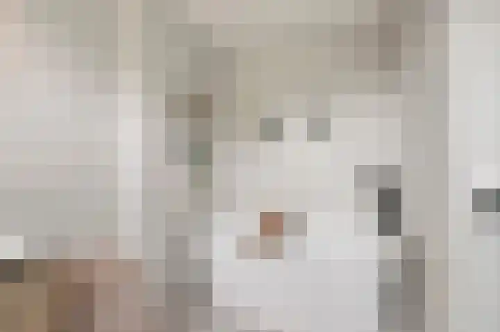Scheprad 1 Huissen thumbnail 23