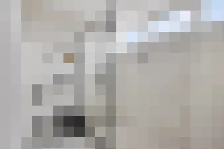 Scheprad 1 Huissen thumbnail 24