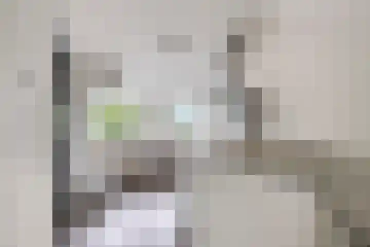 Scheprad 1 Huissen thumbnail 26
