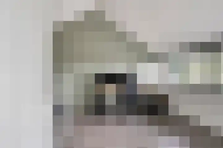 Scheprad 1 Huissen thumbnail 28
