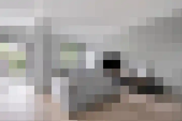 Scheprad 1 Huissen thumbnail 5