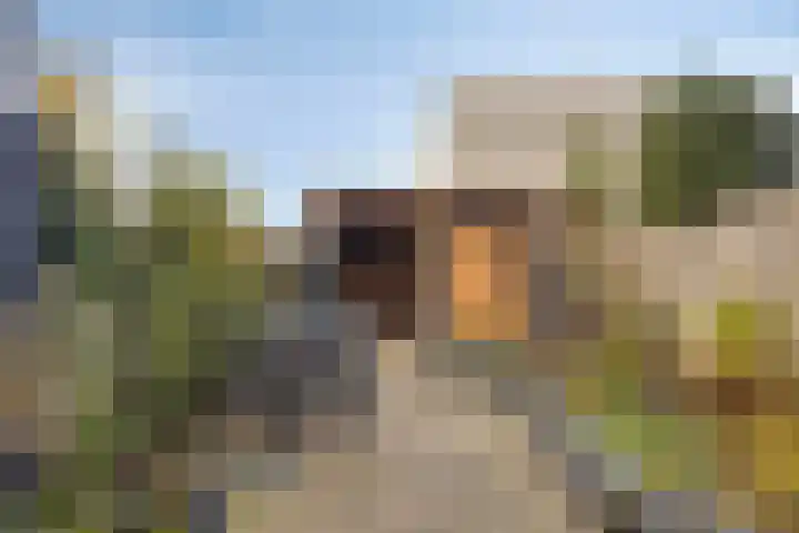 Scheprad 1 Huissen thumbnail 7