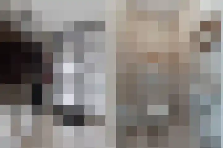 Schepsnavel 1 Franeker thumbnail 10
