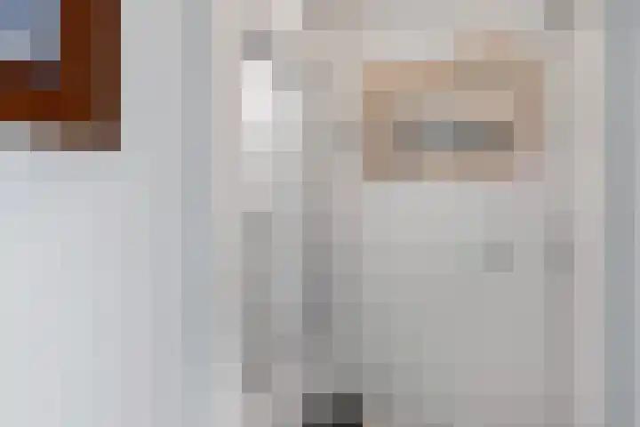 Schepsnavel 1 Franeker thumbnail 12