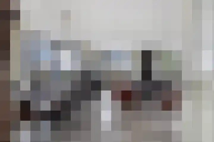 Schepsnavel 1 Franeker thumbnail 13