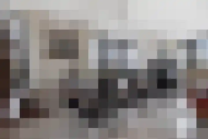 Schepsnavel 1 Franeker thumbnail 14