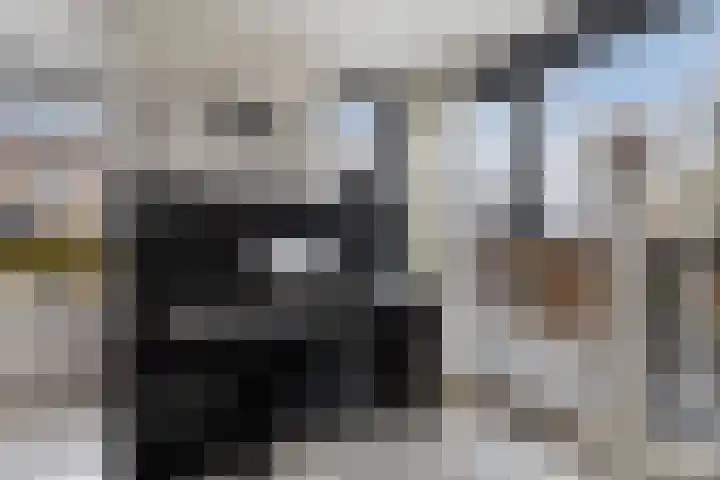 Schepsnavel 1 Franeker thumbnail 18