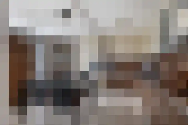 Schepsnavel 1 Franeker thumbnail 19