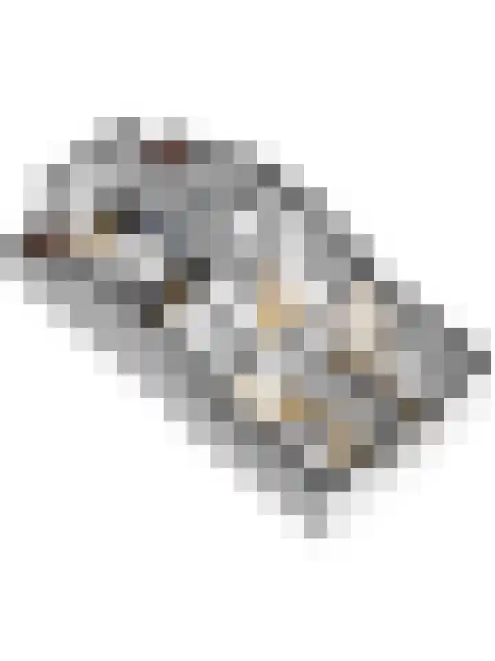Schepsnavel 1 Franeker thumbnail 21