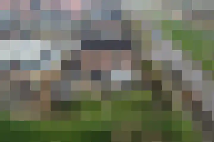 Schepsnavel 1 Franeker thumbnail 31