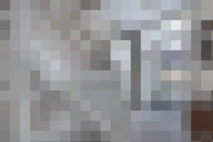 Schepsnavel 1 Franeker thumbnail 32
