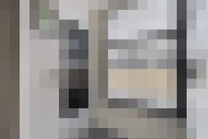 Schepsnavel 1 Franeker thumbnail 33