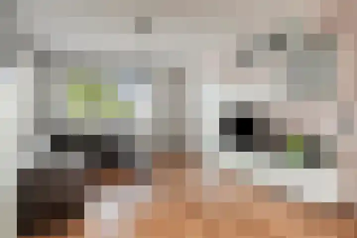Schepsnavel 1 Franeker thumbnail 36