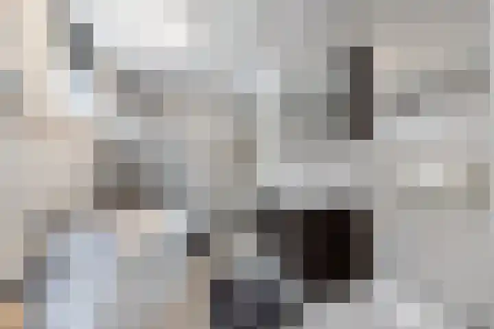 Schepsnavel 1 Franeker thumbnail 39