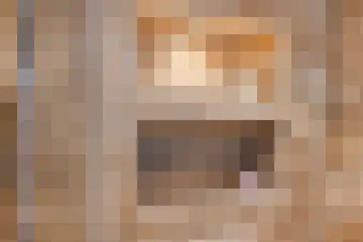 Schepsnavel 1 Franeker thumbnail 4