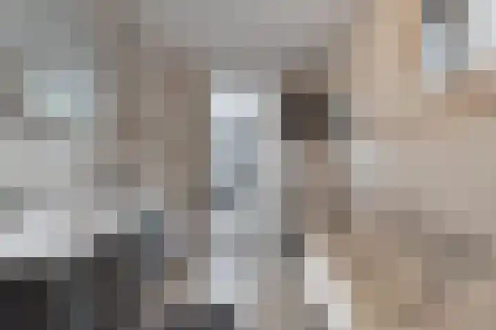 Schepsnavel 1 Franeker thumbnail 40