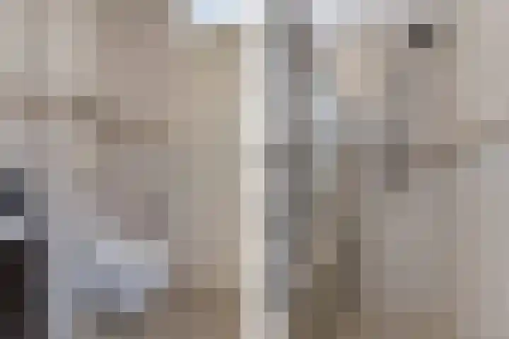 Schepsnavel 1 Franeker thumbnail 41