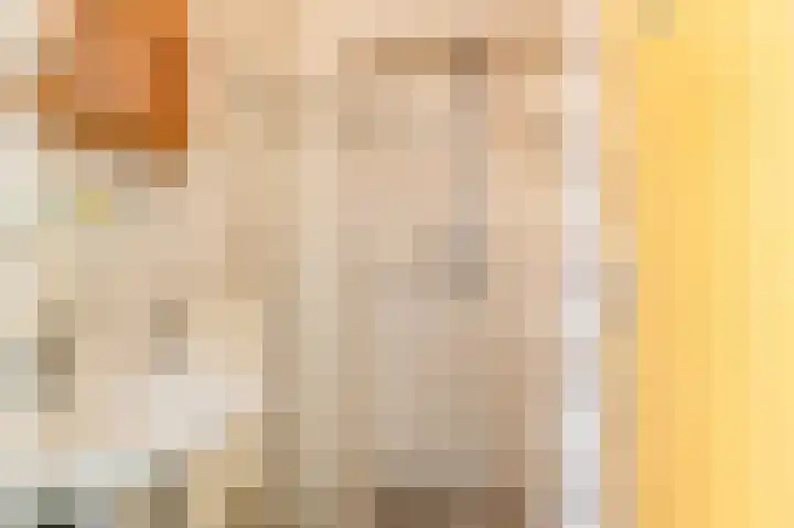 Schepsnavel 1 Franeker thumbnail 42