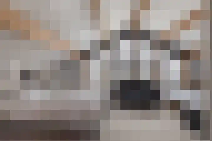 Schepsnavel 1 Franeker thumbnail 45