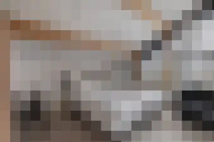 Schepsnavel 1 Franeker thumbnail 46