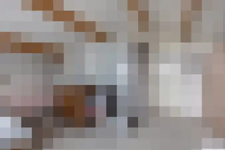 Schepsnavel 1 Franeker thumbnail 48