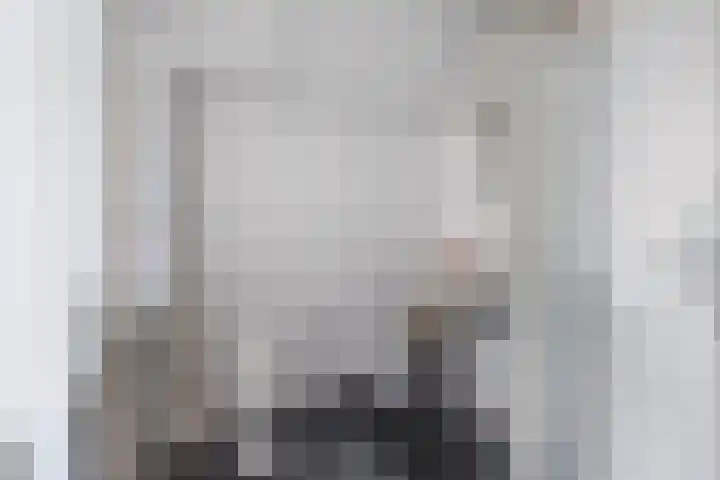 Schepsnavel 1 Franeker thumbnail 49