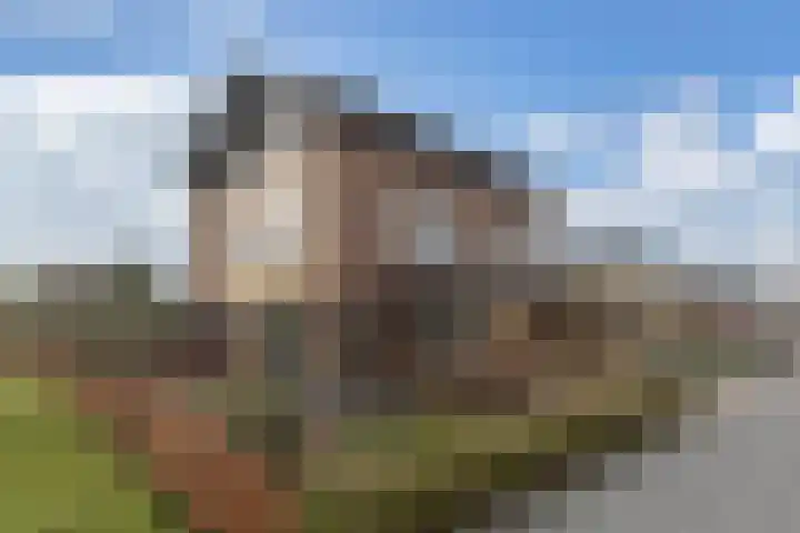 Schepsnavel 1 Franeker thumbnail 52