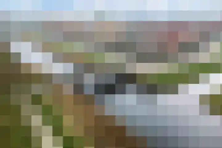 Schepsnavel 1 Franeker thumbnail 54