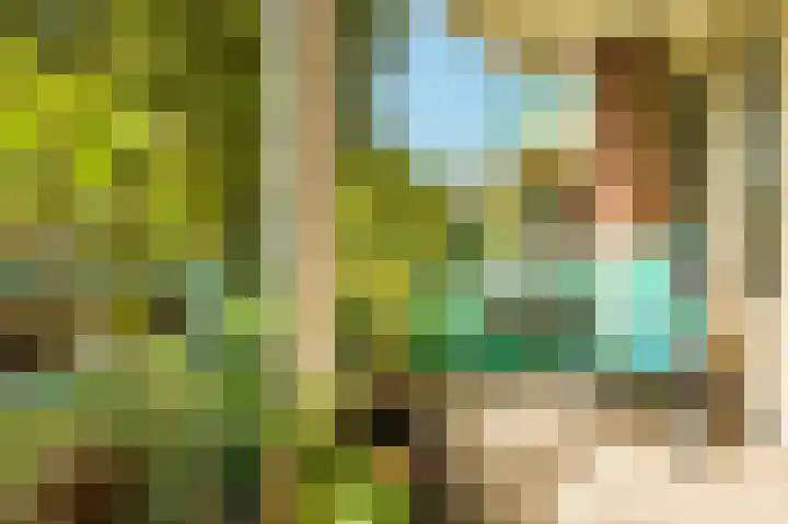 Schepsnavel 1 Franeker thumbnail 6